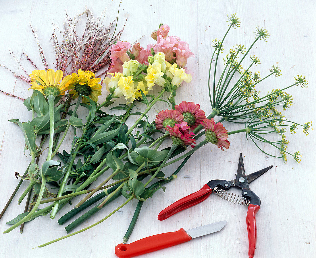 Making a late summer bouquet (1/5)