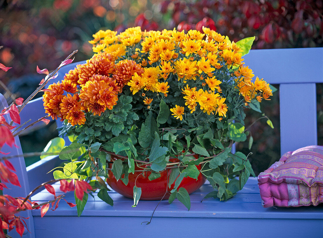 Autumn bowl in red, yellow, orange