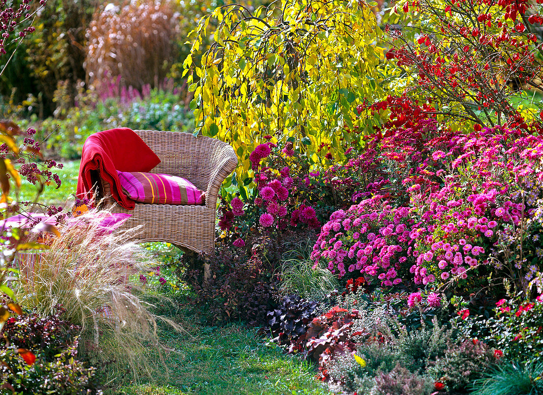 Autumn, woody plants, perennials, seat
