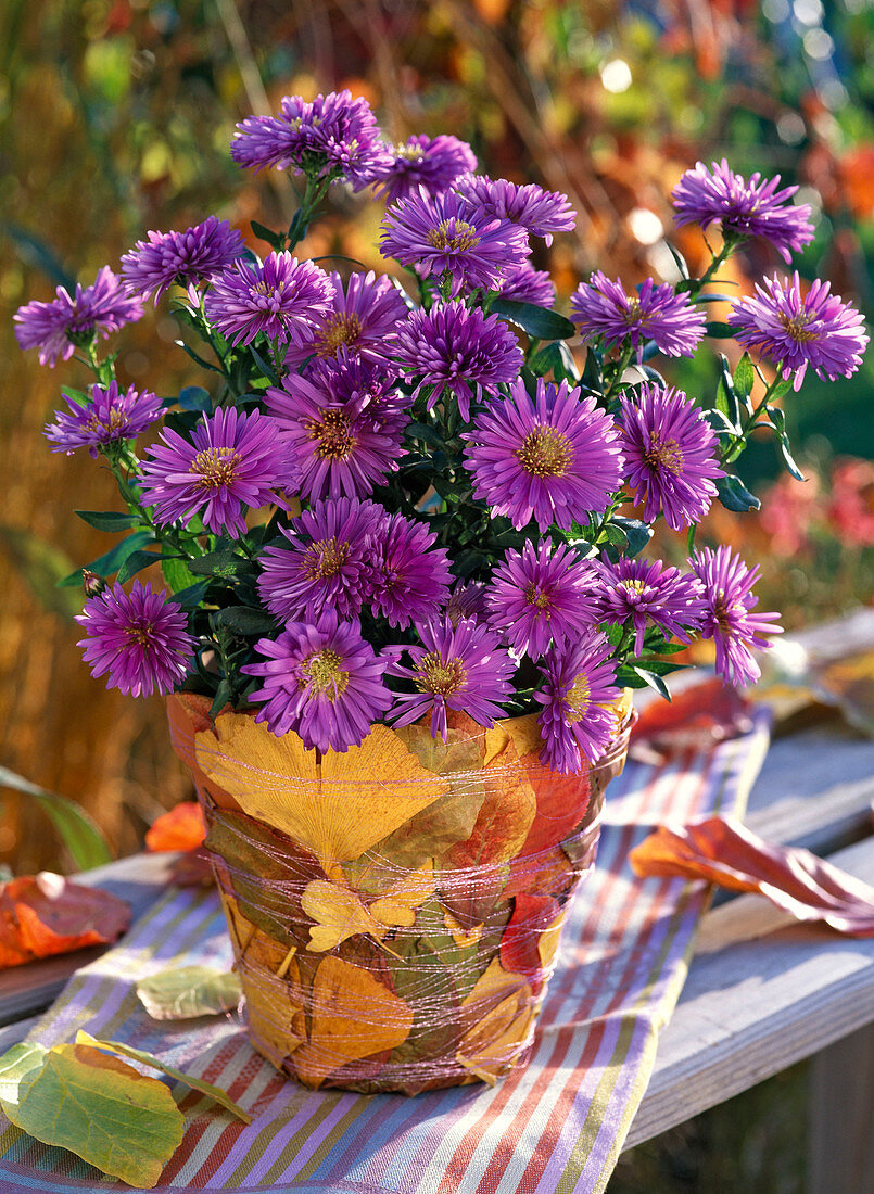 Autumn, leaves, pot, tinker, autumn crocus