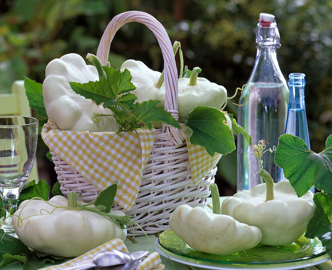 Cucurbita, foliage, fruits in white basket