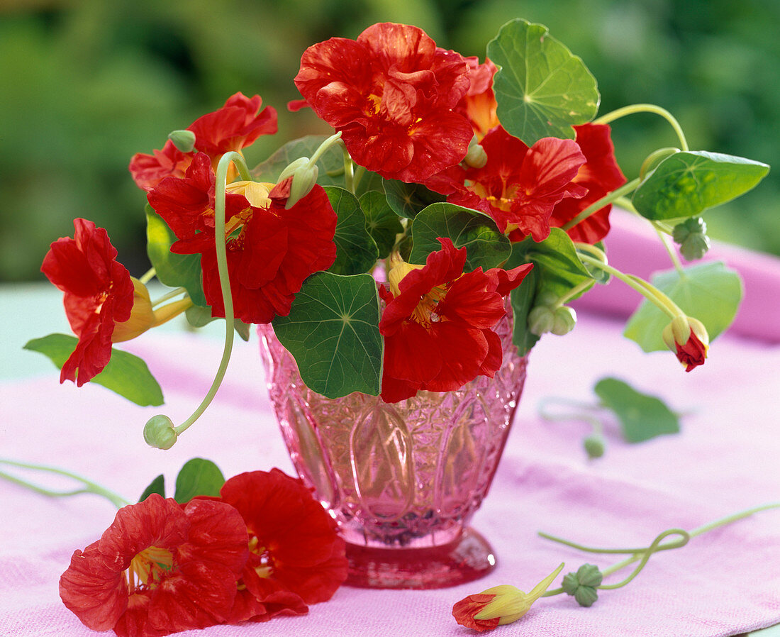 Small bouquet of Tropaeolum (nasturtium) in relief glass