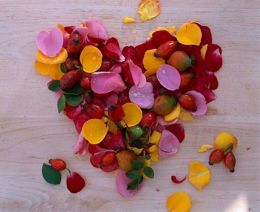 Heart of petals and rose hips