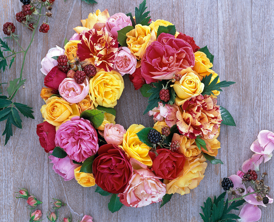 Wreath of pink (roses, yellow, pink, red, striped) and Rubus (blackberries)