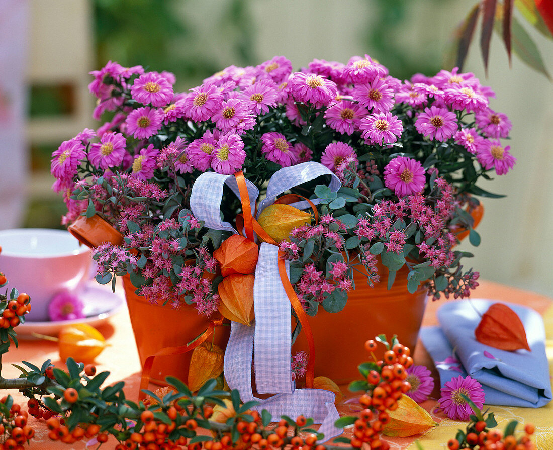 Autumn flower box in pink