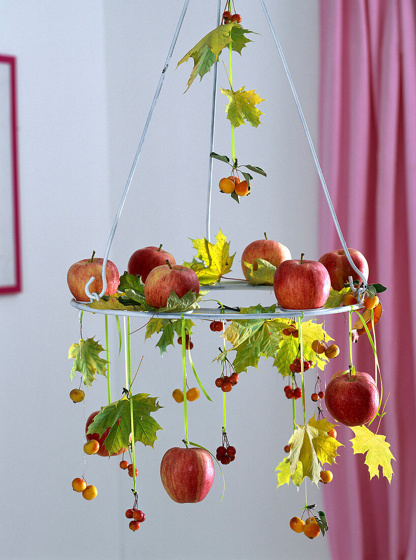 Hanging wreath with Malus (apples, ornamental apple), Acer (maple) in autumn colours