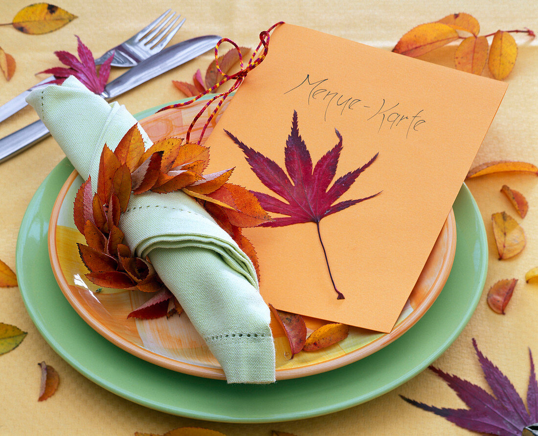 Red leaf of Acer (maple) on 'menu card', wreath of autumn leaves