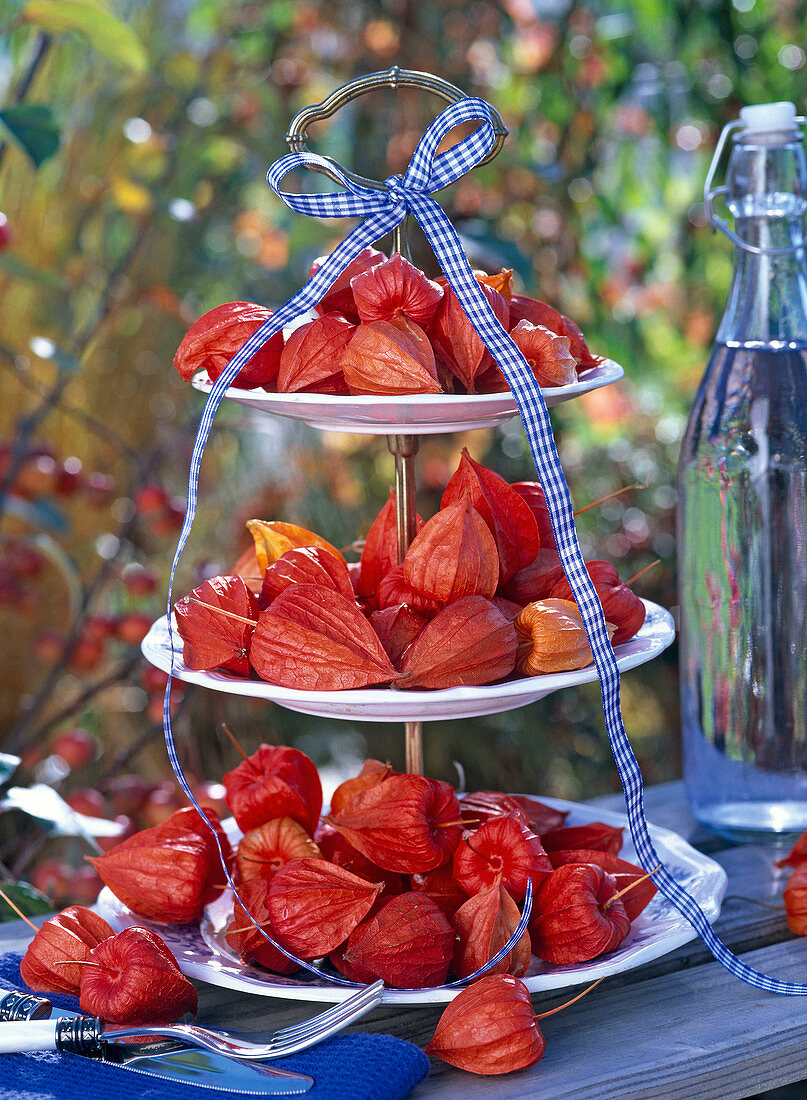 Physalis (Lampions) auf weißer Etagere, dekoriert mit kariertem Band, Besteck