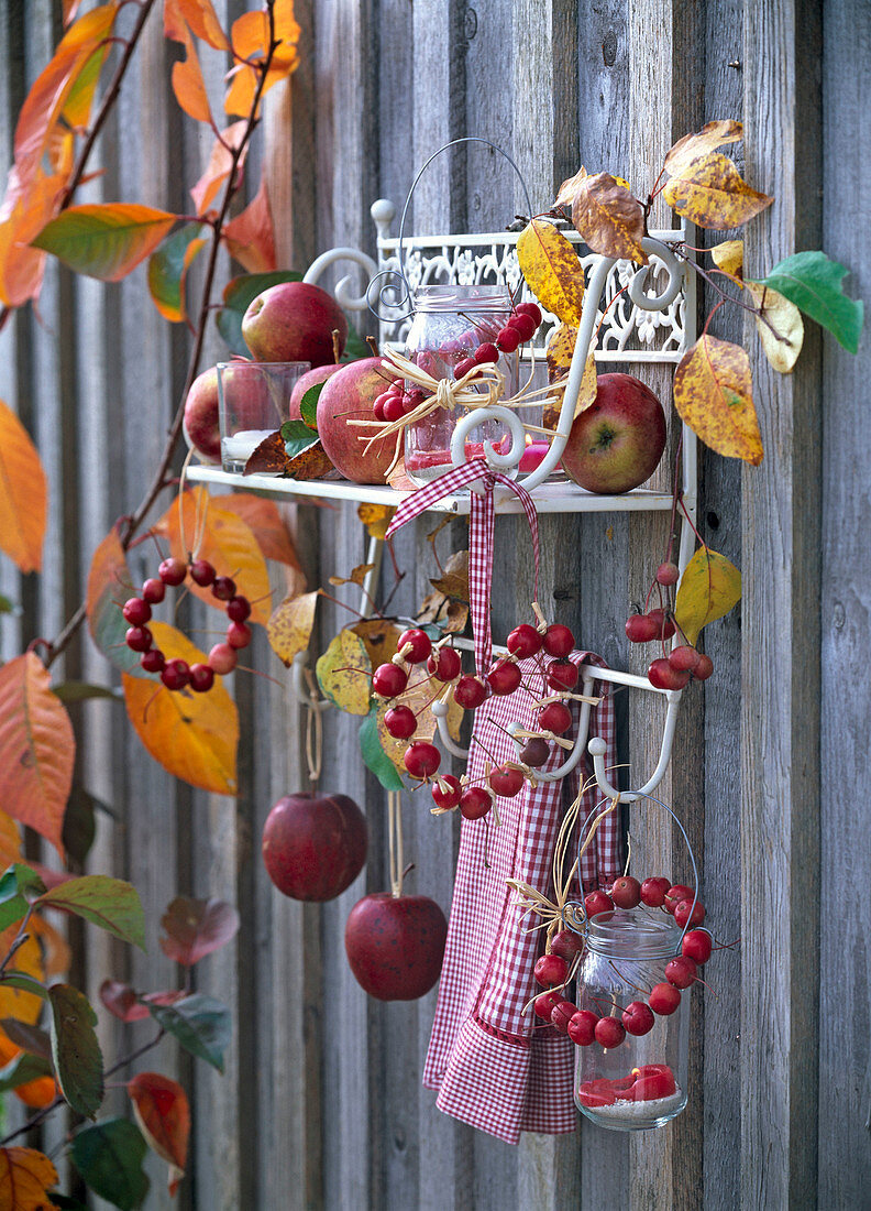 Malus (red apples and red ornamental apples) on a white wall shelf, strung up