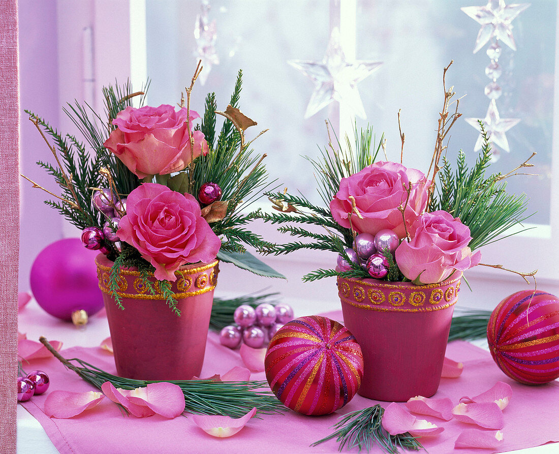 Rosa 'Sweet Unique' (roses), Cryptomeria (sickle fir), Pinus (pine)