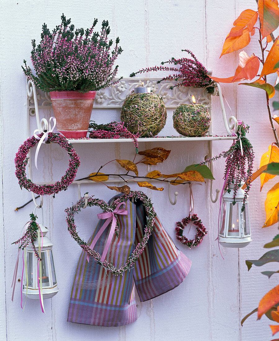 Shelf with Calluna (broom heather) in pots, in bouquets, as wreath