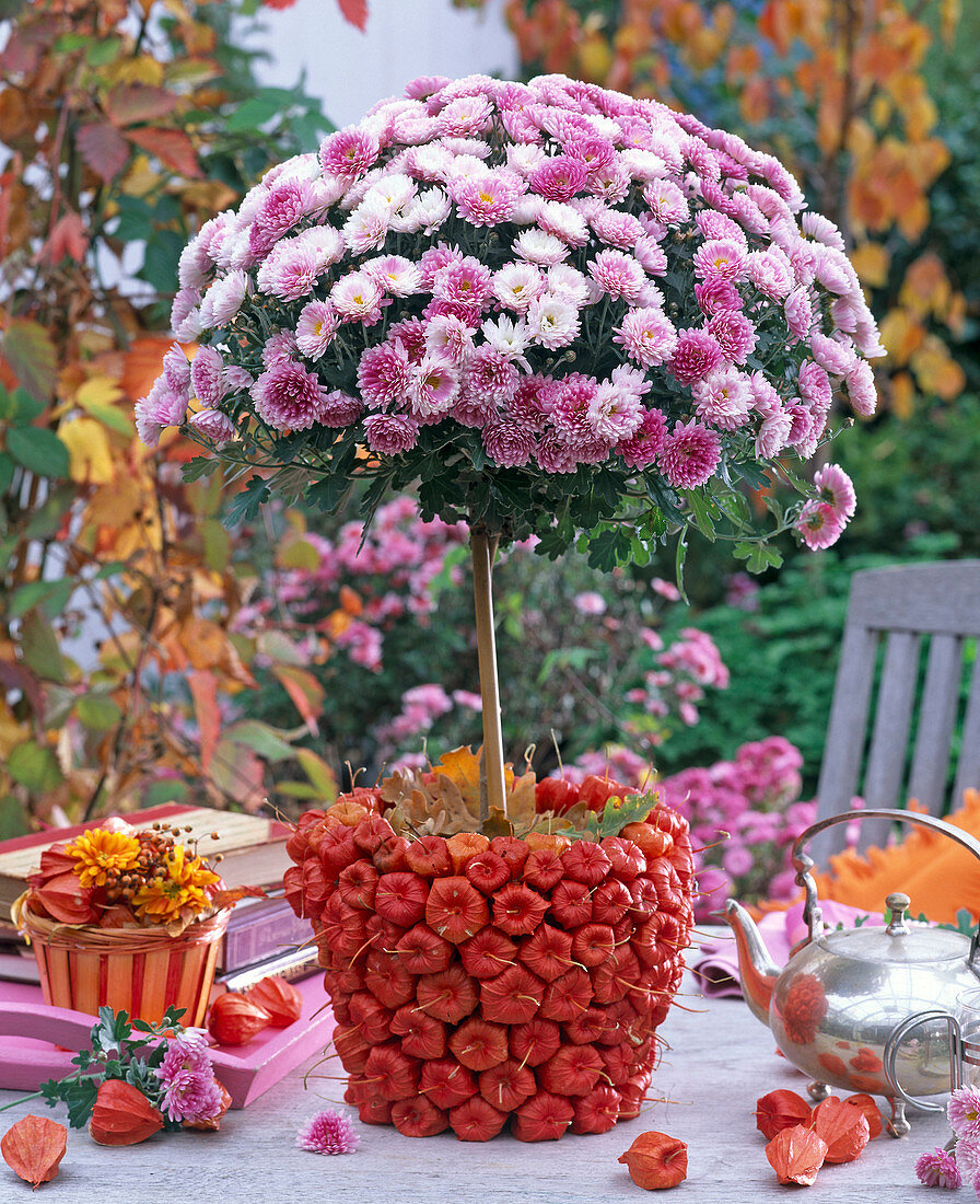 Clay pot with stuck lanterns