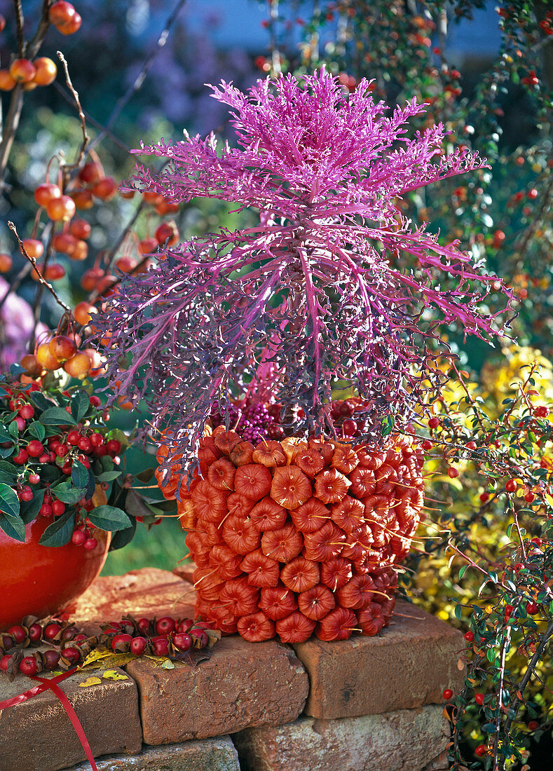 Clay pot covered with lanterns (3/3)