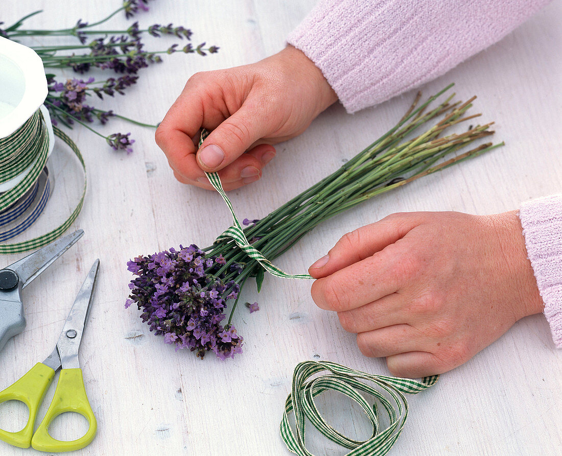 Lavender bottles with chequered ribbon (1/5)