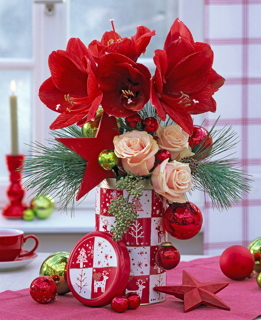 Strauß aus Hippeastrum 'Red Lion' (Amaryllis), Rosa (Rosen), Pinus (Kiefer)