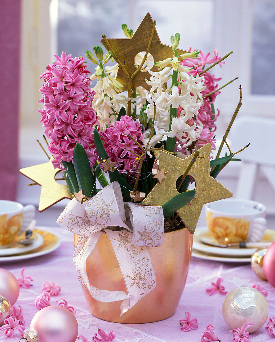 Hyacinthus orientalis (hyacinth) in white and pink, decorated