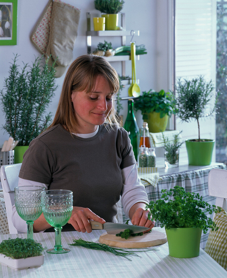 Kitchen with herbs, Rosmarinus (rosemary), Melissa (lemon balm)