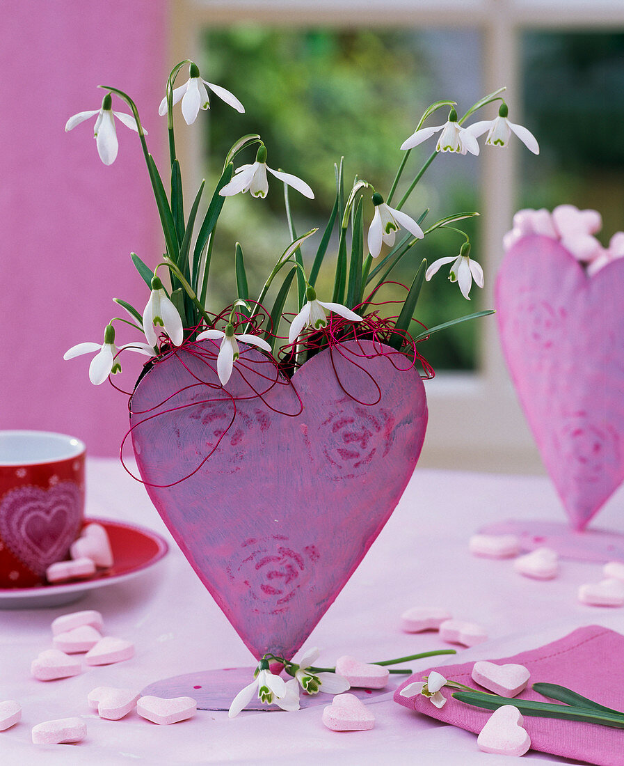 Galanthus nivalis (snowdrop) in heart vase on the table