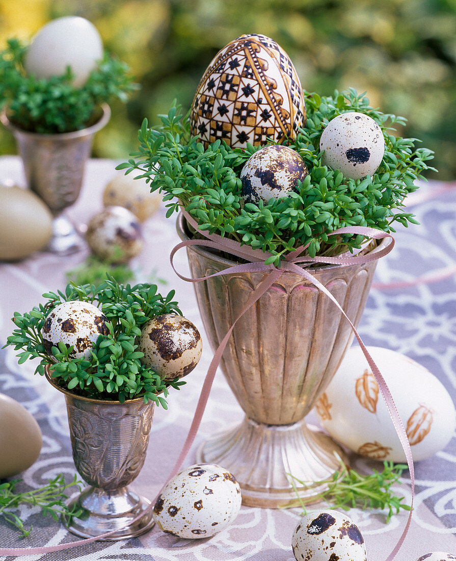 Lepidium (cress) in silver goblets