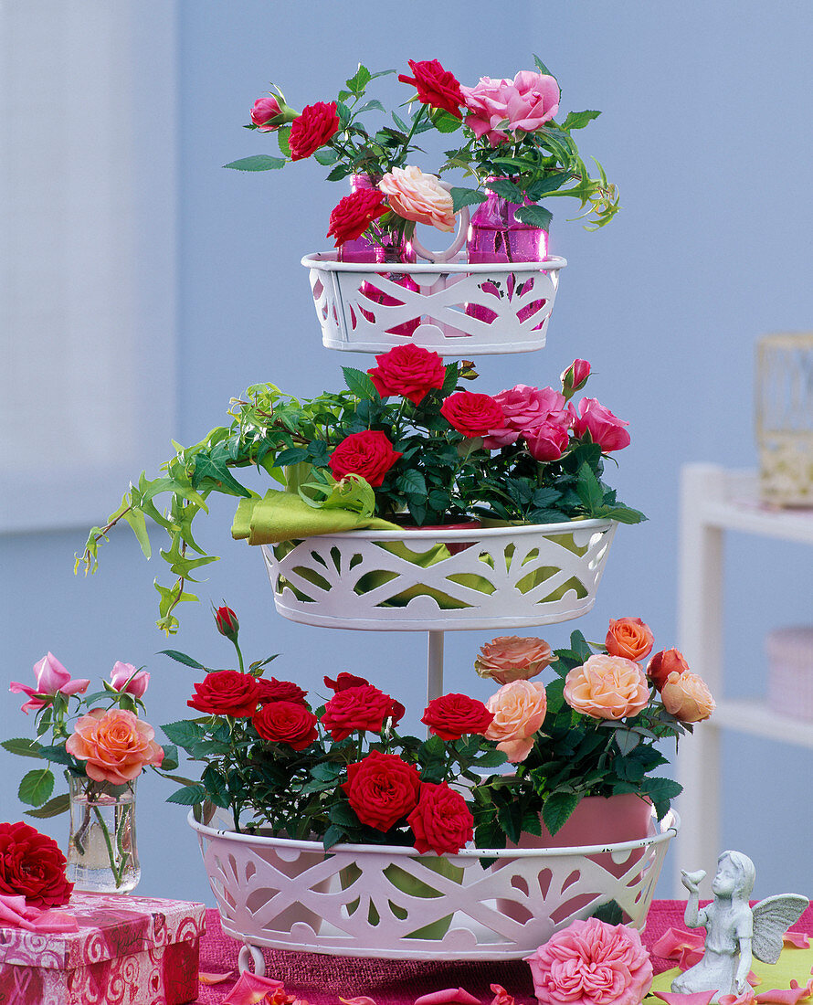 White metal tray with pink (potted roses)