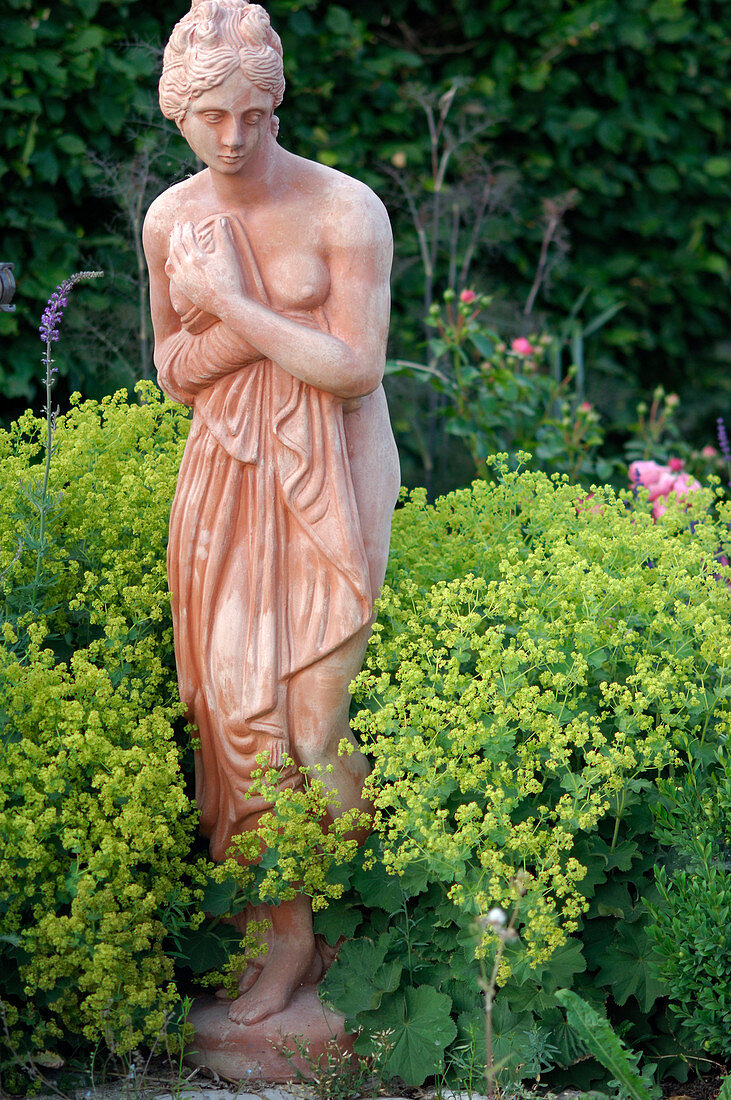 Terracotta woman figure between Alchemilla flowering (Lady's Mantle)