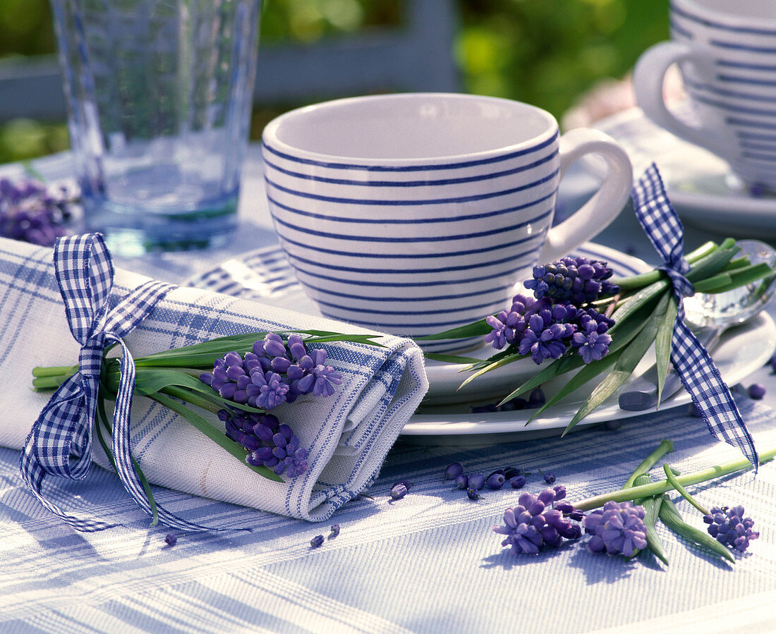 Muscari (grape hyacinth) on striped cup, blue and white checked napkin