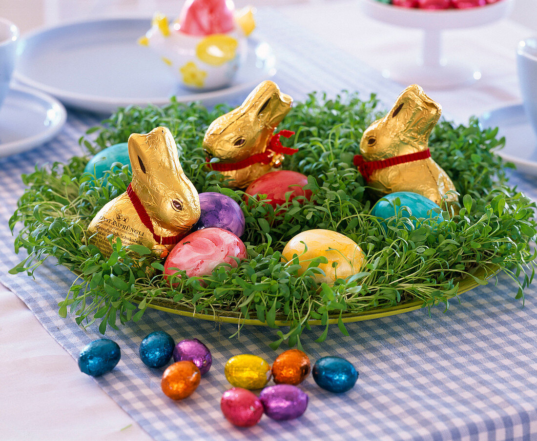 Easter nest of Lepidium (cress) with Easter eggs