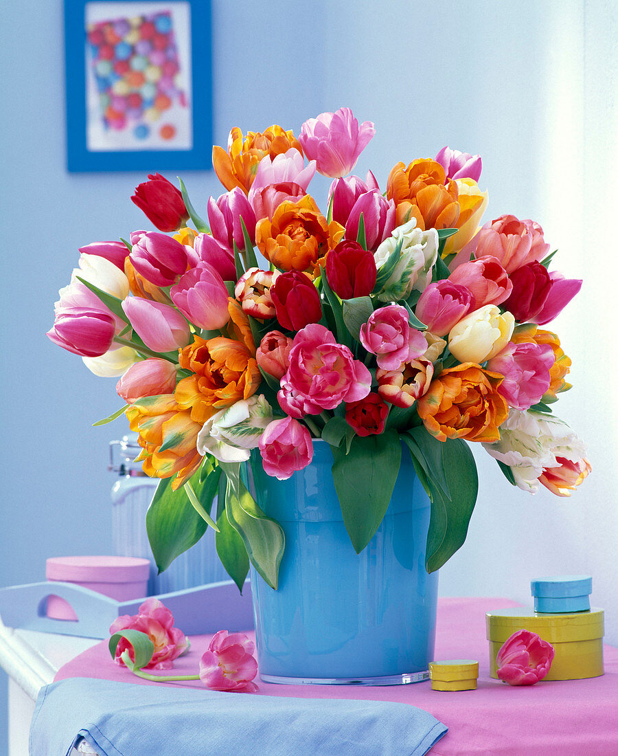 Tulipa bouquet in blue vase on chest of drawers, boxes