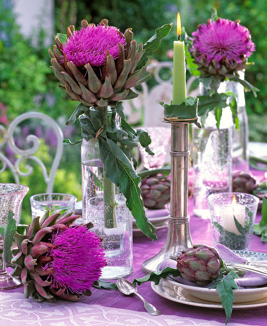 Artischocken - Tischdeko : Cynara scolymus (Gemüse - Artischocken)