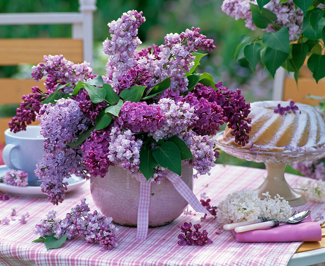 Strauß aus Syringa (Flieder) in lila Vase auf kariertem Tischtuch, Kuchen