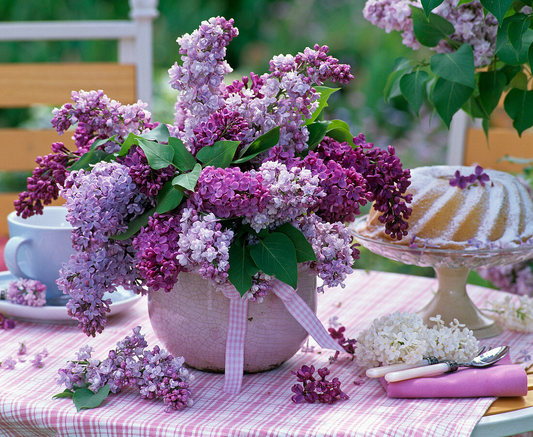 Syringa bouquet in purple vase on a checked tablecloth, cake