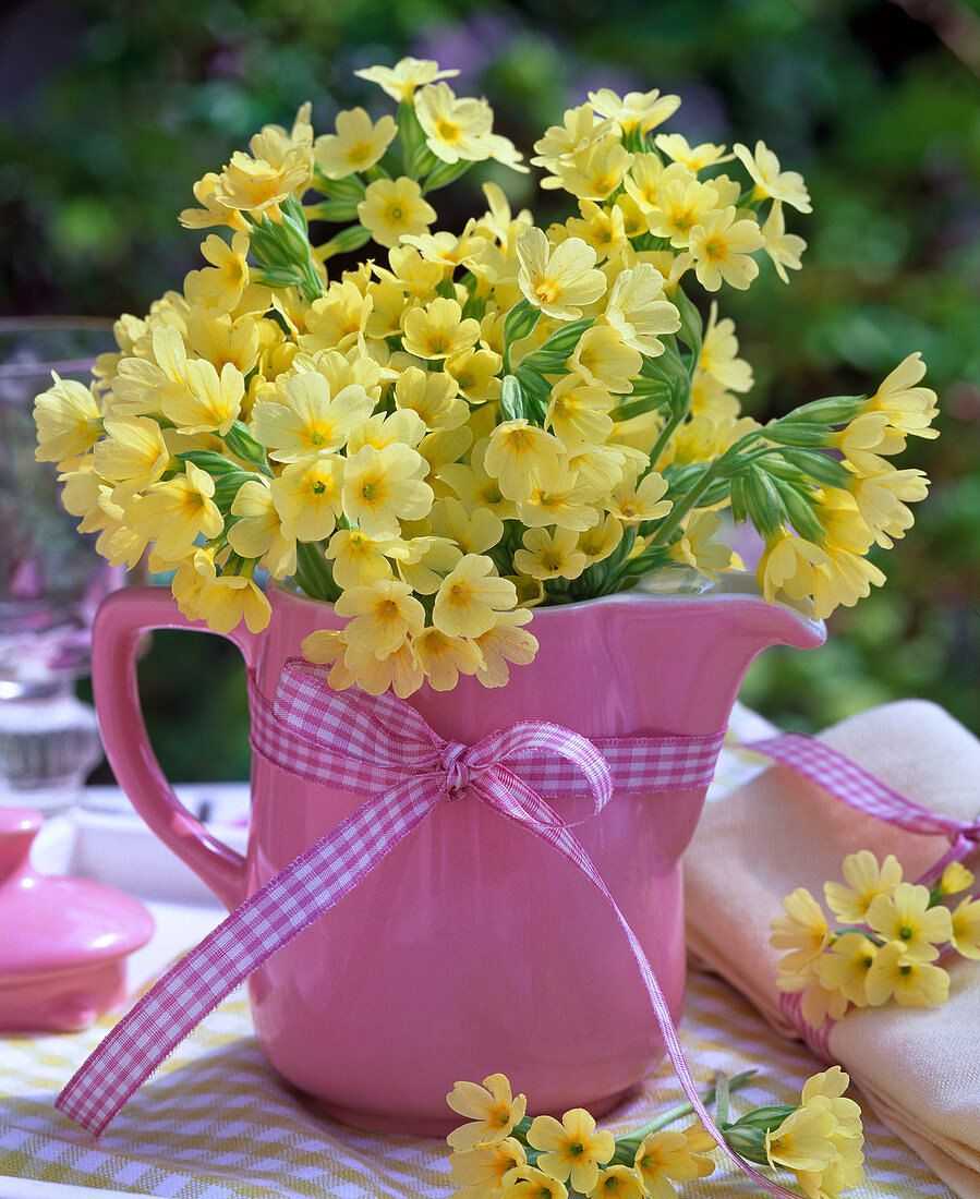 Strauß aus Primula veris (Schlüsselblume) in rosa Kanne mit Schleife