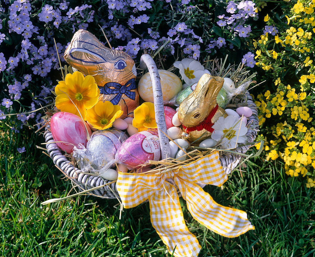 Korb mit Ostereiern, Blüten von Primula (Primeln), Schokoladenhasen