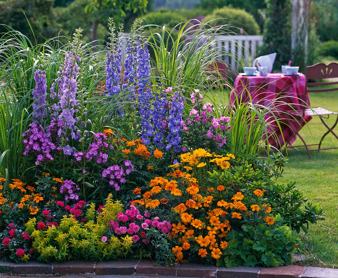 Delphinium, Phlox, Lavatera