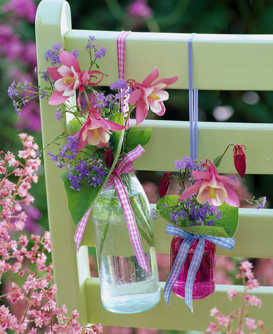 Aquilegia (columbine) and Brunnera (Caucasus forget-me-not)