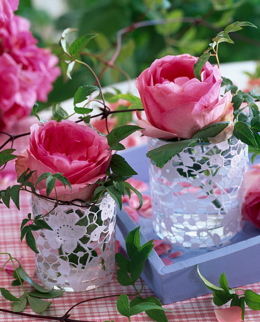 Blüten von Rosa (Rosen) in mit Tortenspitze beklebten Gläsern