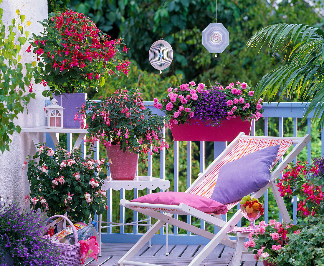 Shadow balcony with fuchsia, impatiens