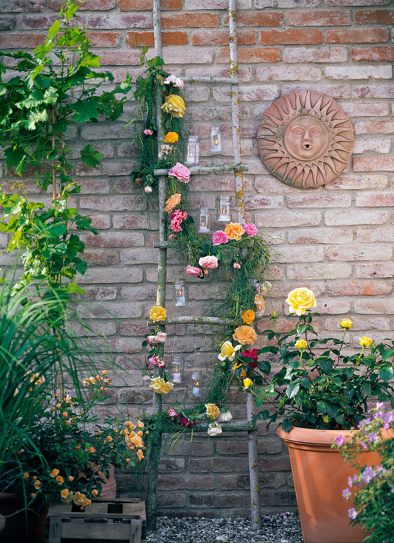 Pink (Roses) in a pot, garland of pink (English) flowers