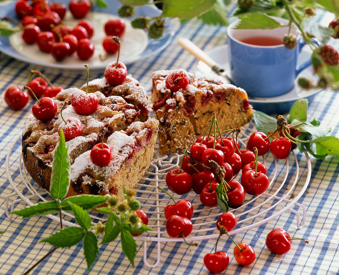 Set cherry cake with Prunus (cherries) on cake rack, tea cup, Rubus