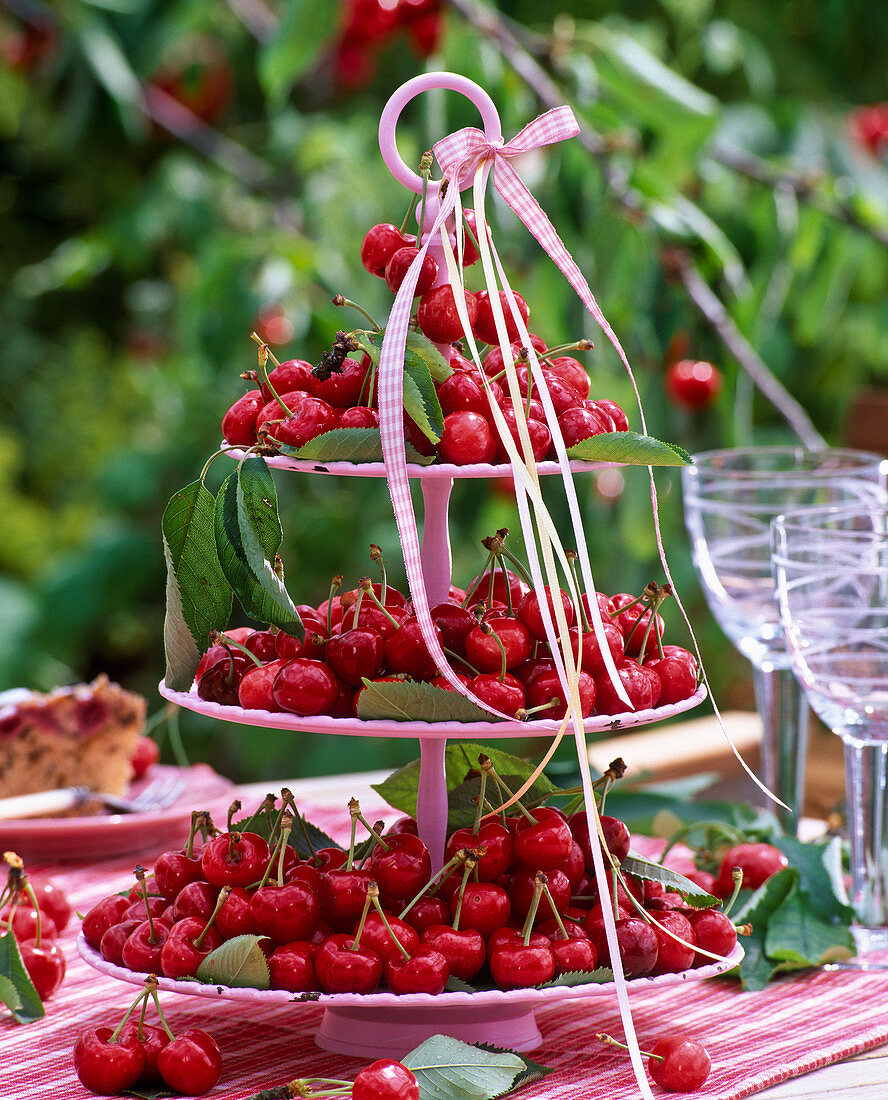 Etagere with prunus (cherries) and ribbons on the table, glasses