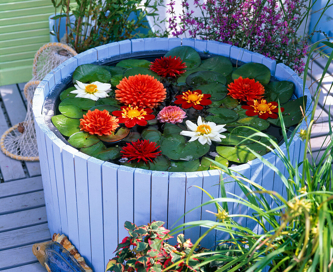 Wasserpflanzenkübel mit Holz verkleiden: 6/6