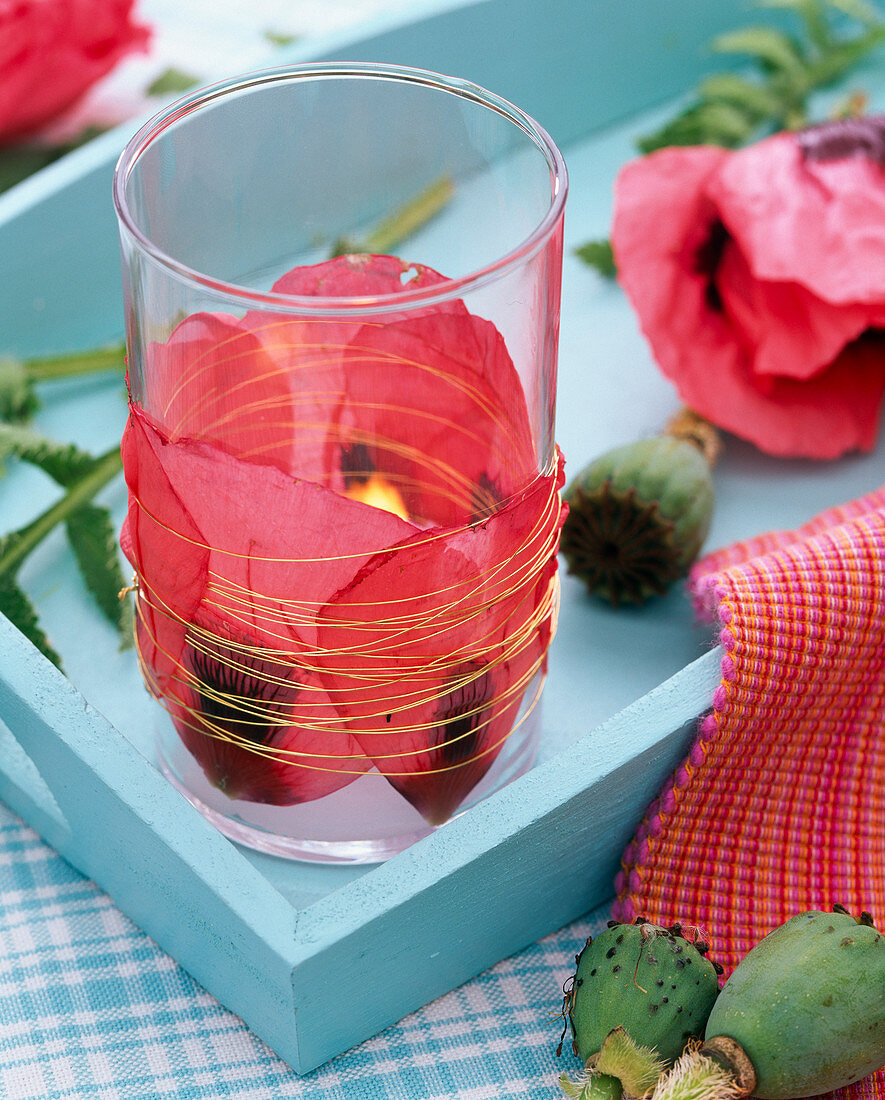 Lantern with poppy petals: 2/2