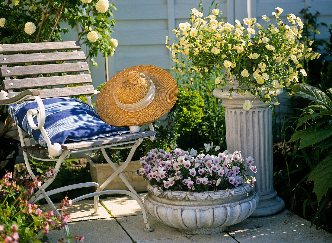 Bowl and pot on column with Viola wittrockiana (Pansy)