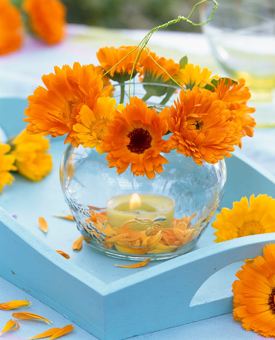 Windlicht mit Kranz aus Calendula (Ringelblumen) auf türkisem Tablett