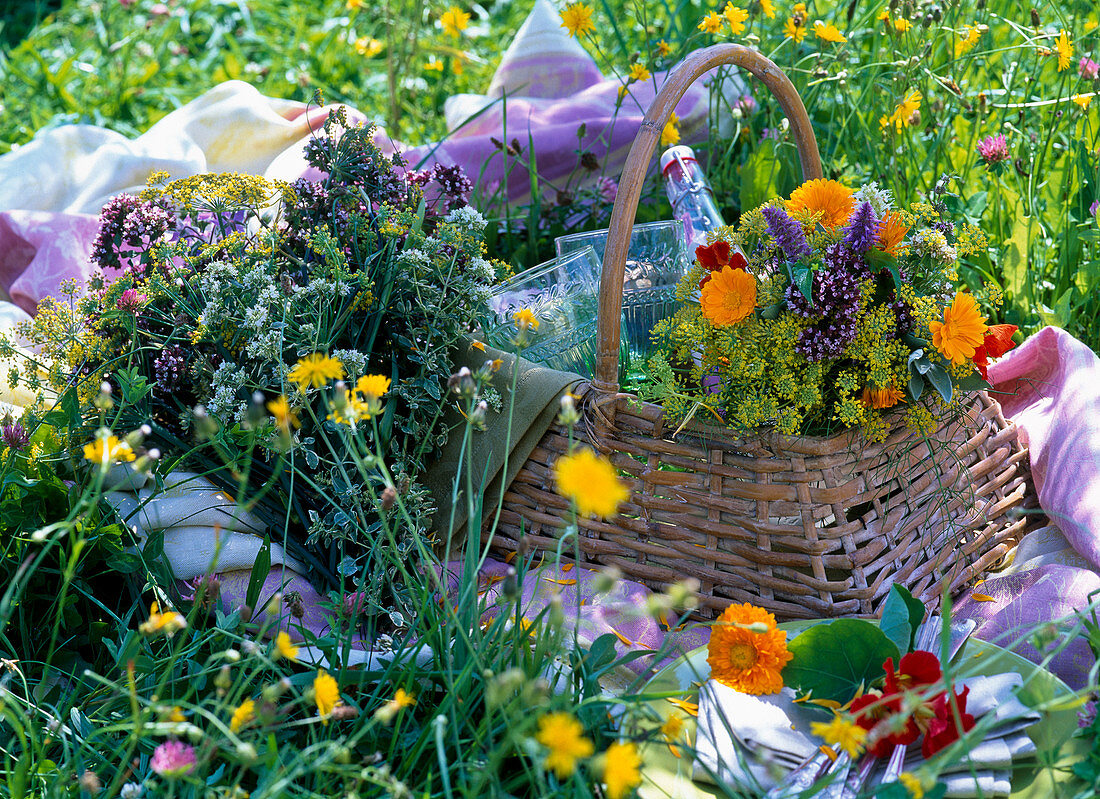 Bouquets of origanum (oregano), foeniculum (fennel), calendula