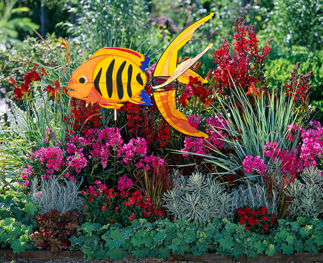 Red-Pink flowerbed with Lobelia speciosus Fan 'Scarlet'