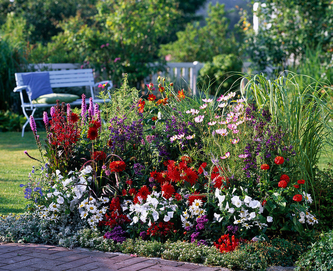 Buntes Beet mit Sommerblumen und Stauden: Lobelia Kompliment Mix