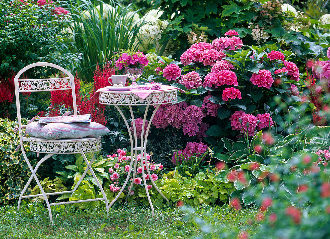 Shade border with Hydrangea macrophylla and quercifolia (Hydrangea)