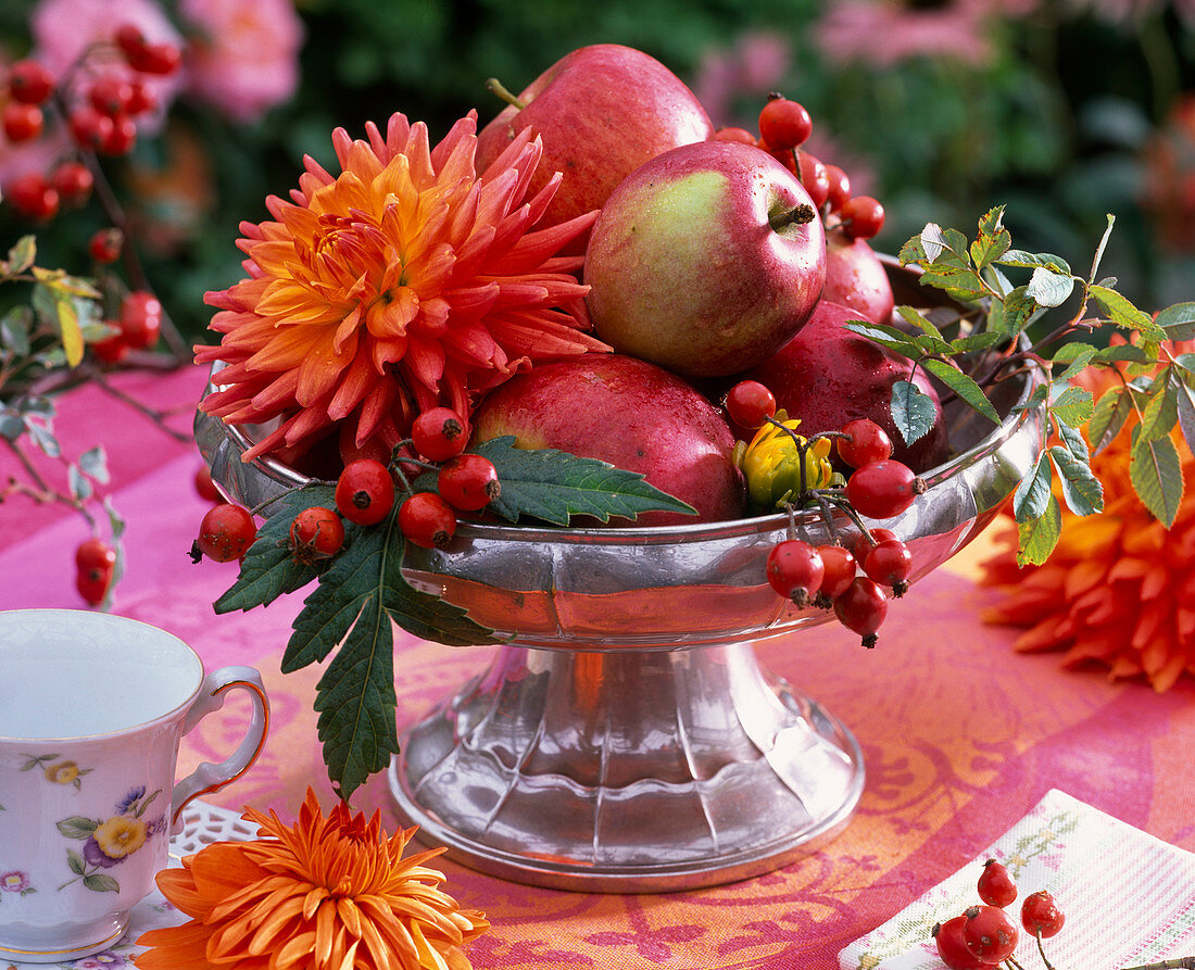 Dahlia (dahlia), Malus (apples) and rose hips in silver bowl, cup