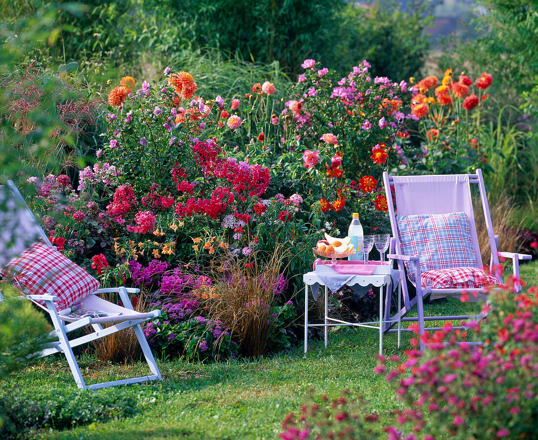 Pink-oranges Sommerbeet: Phlox paniculata (Flammenblumen)